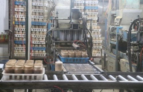 金针菇工厂化栽培机械自动化生产与管理关键技术及其对现代酒店管理的启示